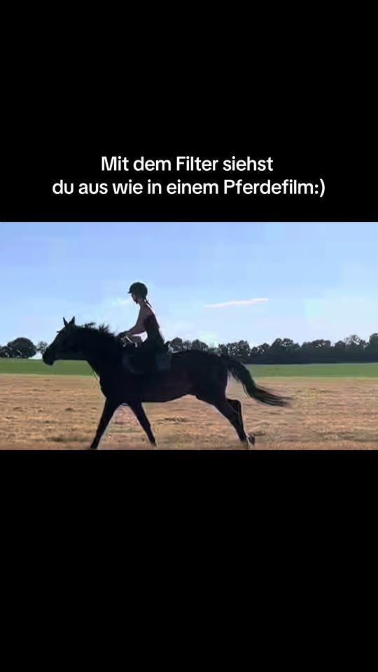 TikTok video thumbnail by thm_equest