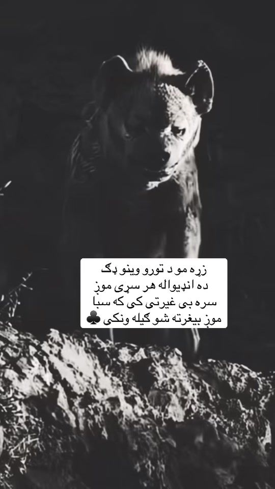 TikTok video thumbnail by a__l__i430