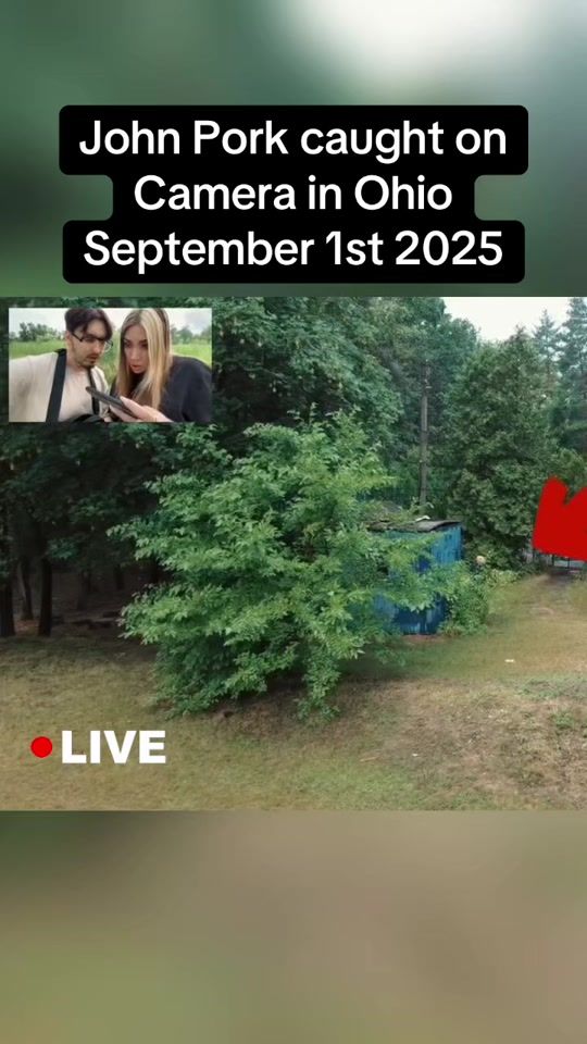 TikTok video thumbnail by scarytimcheese