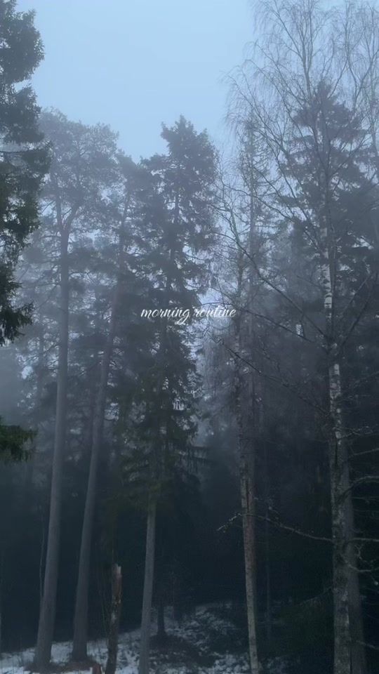 TikTok video thumbnail by lunaadreamerr