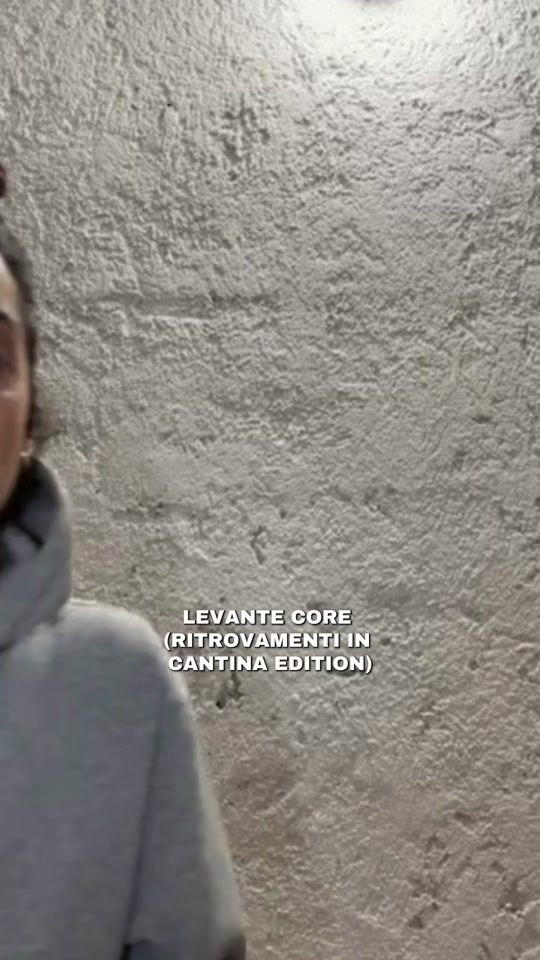 TikTok video thumbnail by levante.supporter
