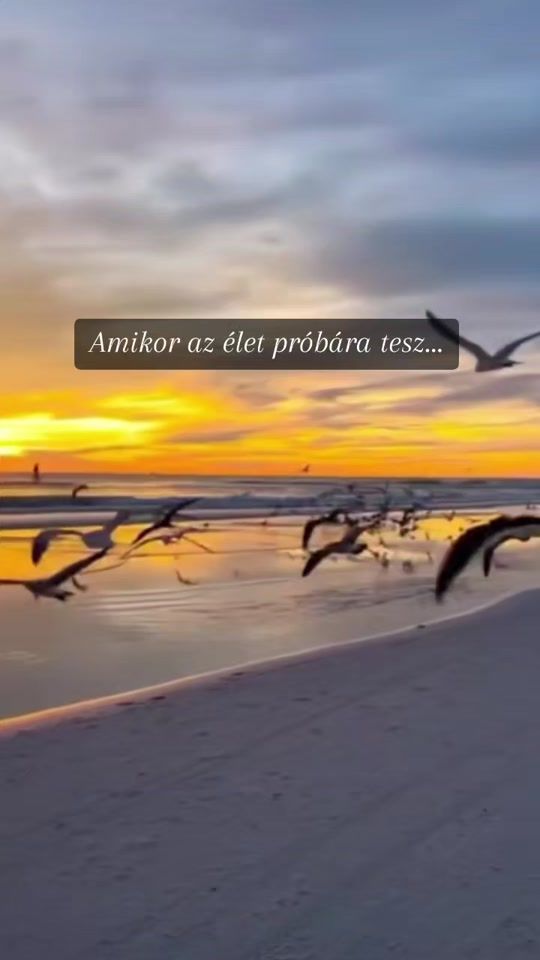 TikTok video thumbnail by aysaawo