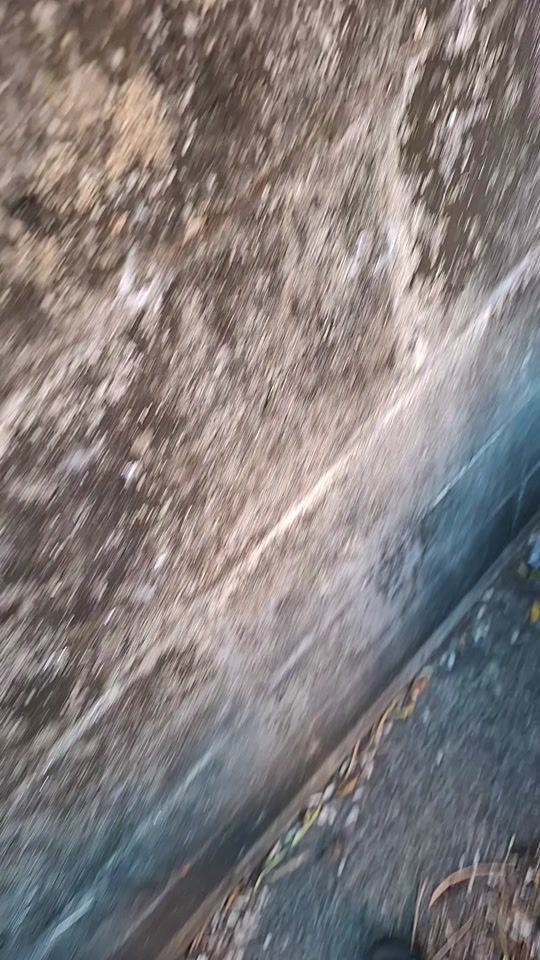 TikTok video thumbnail by muriel.andy