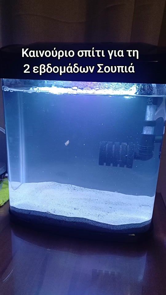 TikTok video thumbnail by alexfishinglife
