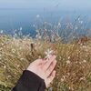 scss1994