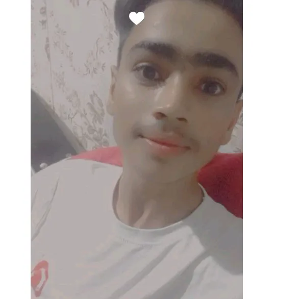 @gulfamdogar265