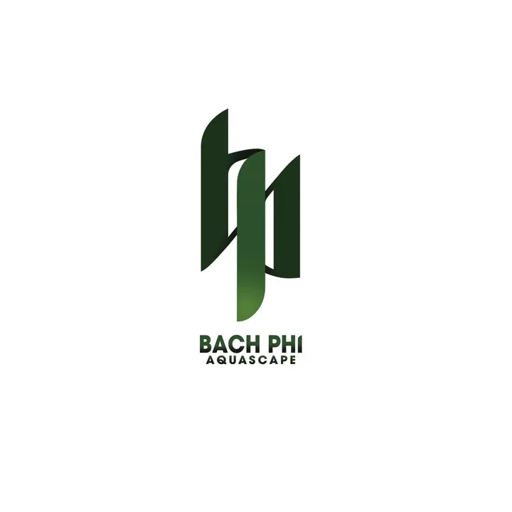@bachphiaquascape