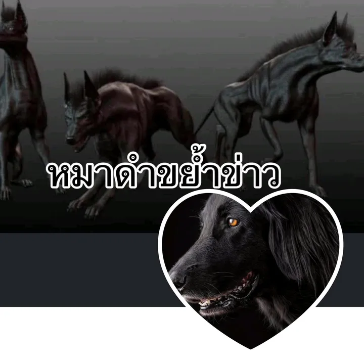 madam_news