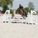 @ne.horses