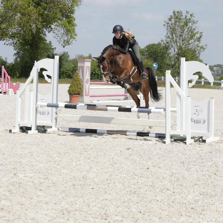 @ne.horses