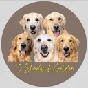 @5_shadesofgolden