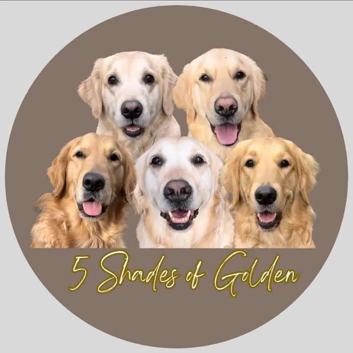 @5_shadesofgolden