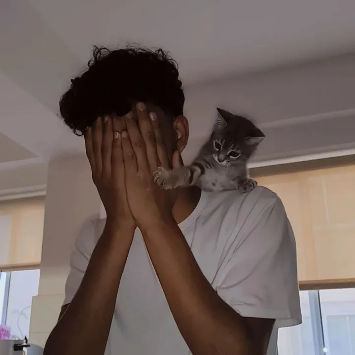 @faxxbite