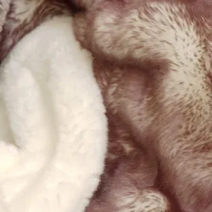 @fursfirst2