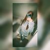 m_28.brm