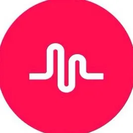 @musically_2017s