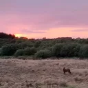 @secret_acc.264