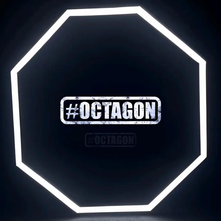 @octagon213dz