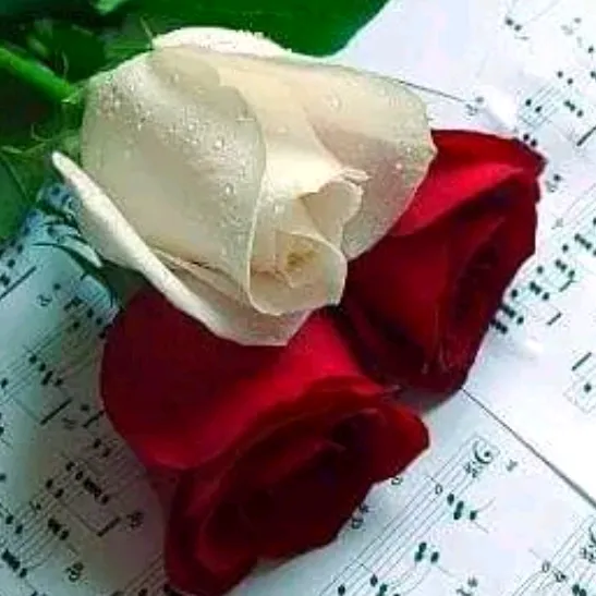 bruneta_tha22