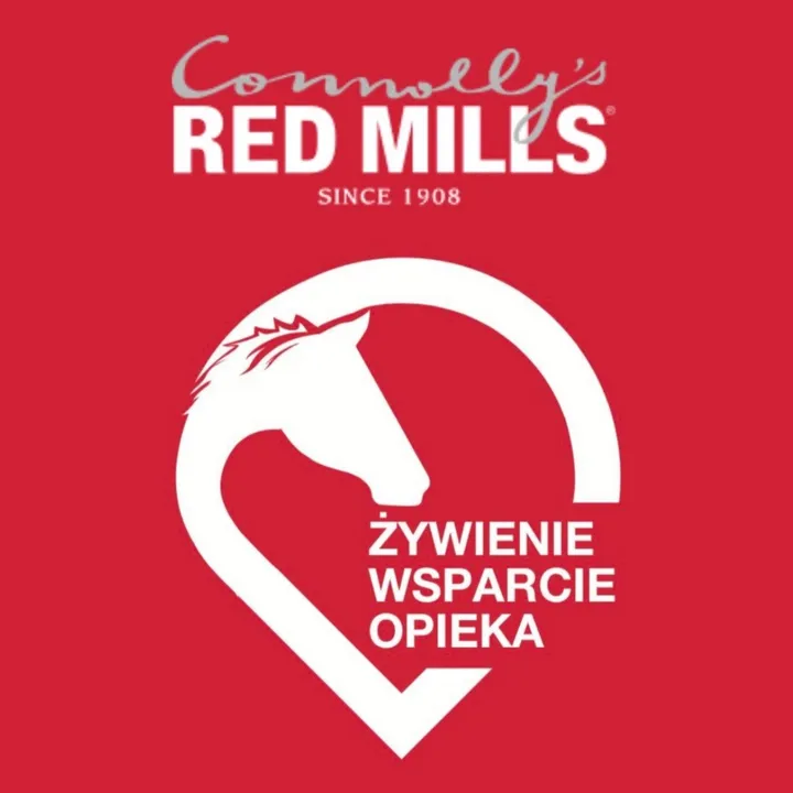 redmills.com.pl
