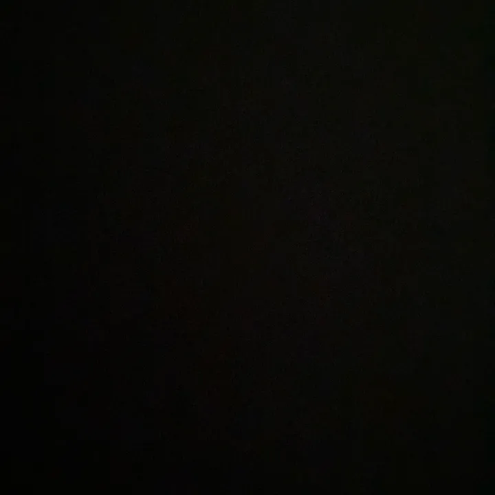 @free.musico
