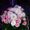 liliana_07031