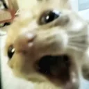 @cs2.300