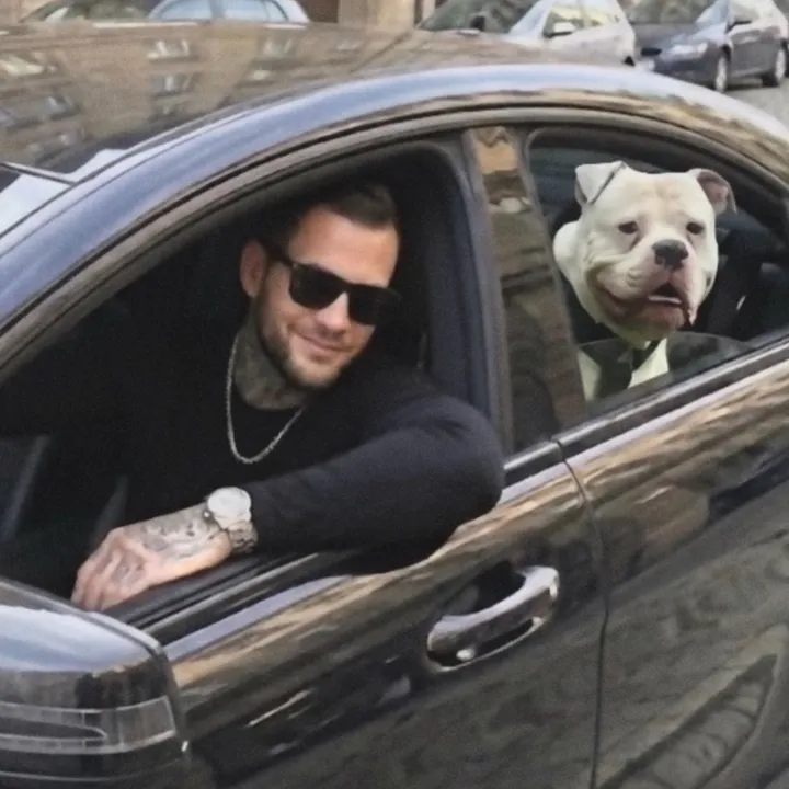 @daxter_the_bulldog