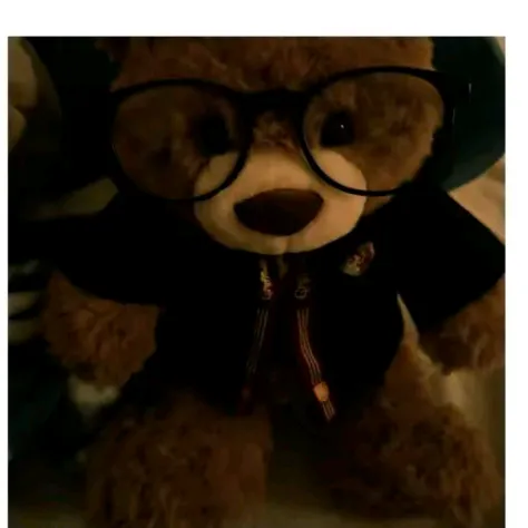 @bearyvibez