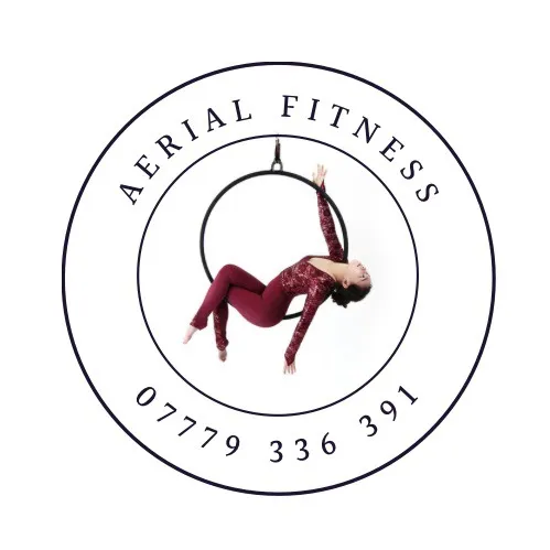 @aerialfitness_