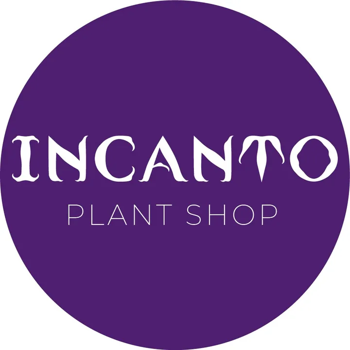 incantoplantshop