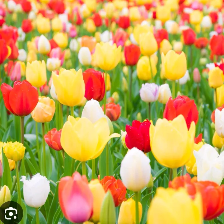 @sazzle2022