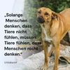 rescuersalexandria