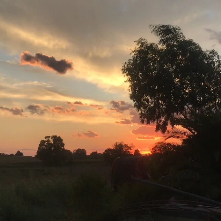 video.stati_17_