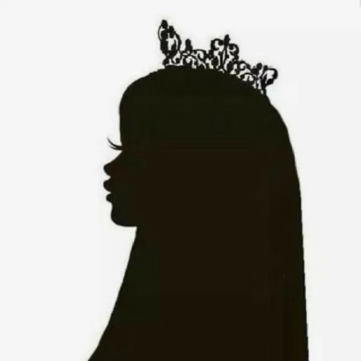 prinxess_desty