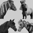 @cm_miniatures