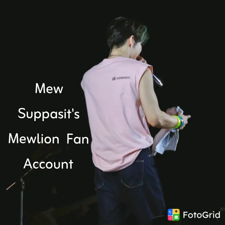 myanmar_mewlions