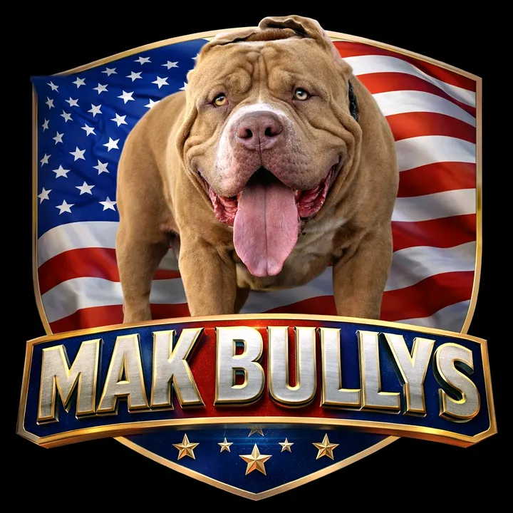@mak.bullys