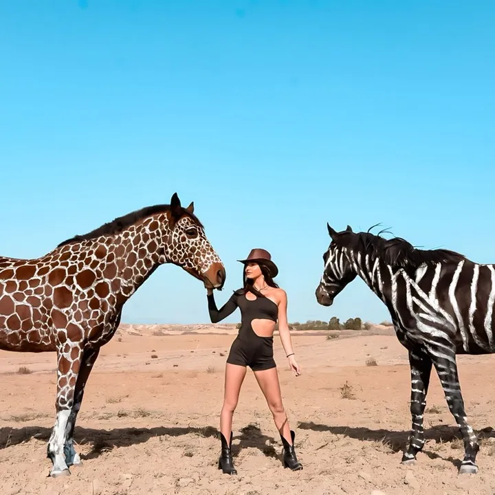mariliapetrou