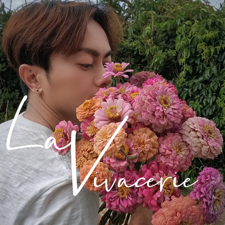lavivacerie