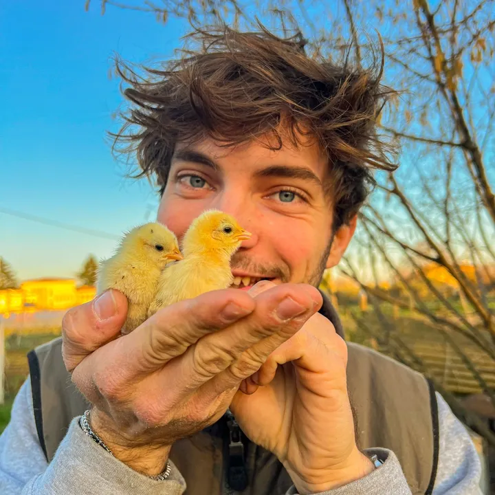 sweetyfarm