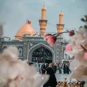 @dar.e.ahlebait6