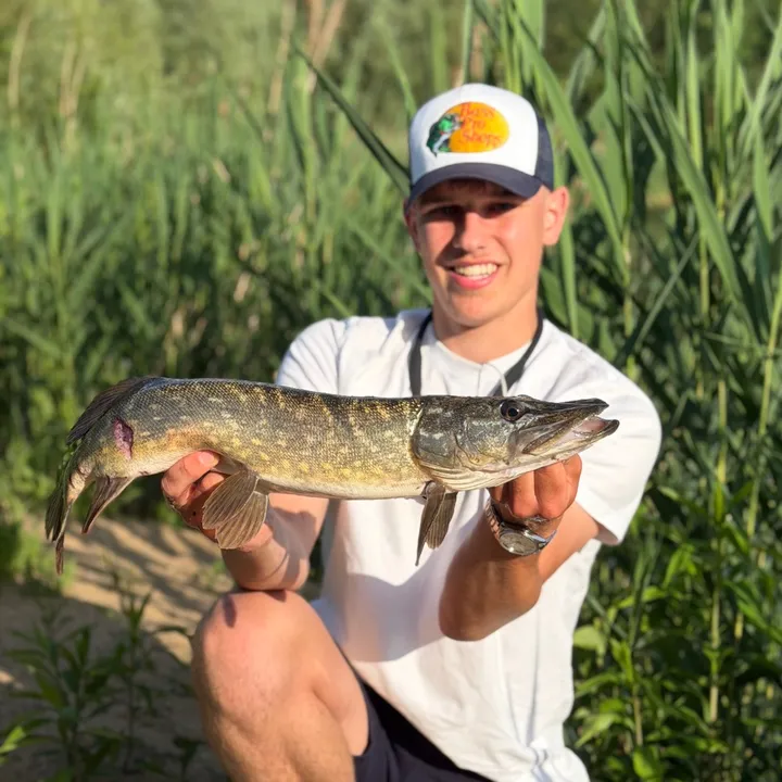 @cast_and_catch_