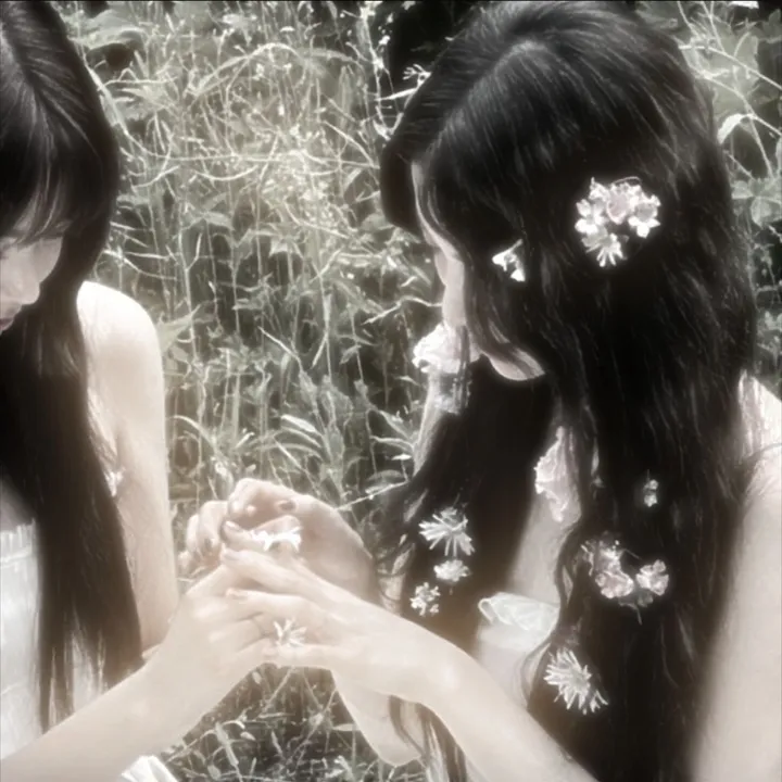@qwhxgr1tq