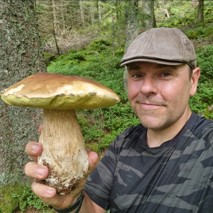 cueillettedeschampignons