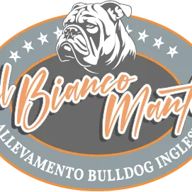 @dogodelbiancomanto