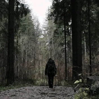@tree.tales