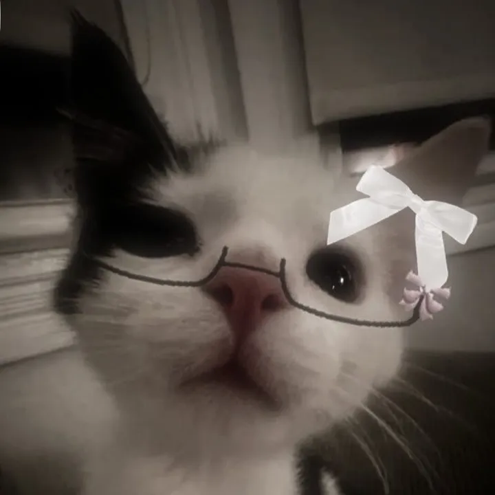 itsfiobio