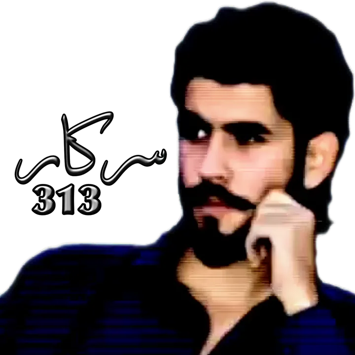 syed_shadab_shah_313