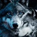 @sandrinesiniccogmail.com